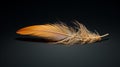Intricate Patterns Of A Sparrow Feather: A Captivating Nature Image