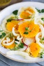 Orange with Fennel and Radish salad Royalty Free Stock Photo