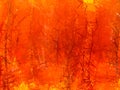 Orange and fire and yellow stripe abstract background Royalty Free Stock Photo