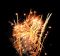 Orange fireworks display black night sky background isolated close up, red firecracker burst pattern, yellow salute explosion Royalty Free Stock Photo