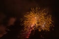 Orange fireworks fountains against the backdrop of the night sky Royalty Free Stock Photo