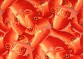 Orange Fish Decorative Art in Kyoto, Japan