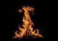 Orange flames dance against a black background, forming a dynamic, abstract shape. The intricate Royalty Free Stock Photo