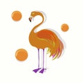 Orange flamingo surrounded by juicy drops. Objects with shadow. Royalty Free Stock Photo