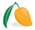 Orange flat ripe mango