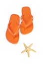 Orange Flip Flop and Starfish
