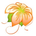 Orange flower