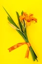 Orange flower daylily on bright background Royalty Free Stock Photo