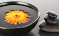 Orange flower floating on a black bowl Royalty Free Stock Photo