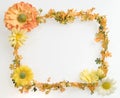 Orange flower frame