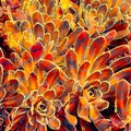 Orange flower graphic collage, color abstract background.