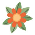 orange flower illustration Royalty Free Stock Photo