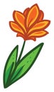 Orange flower , illustration, vector Royalty Free Stock Photo