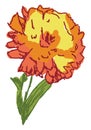 Orange flower, illustration, vector Royalty Free Stock Photo