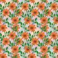 Orange Flower Patter With Colourful Background
