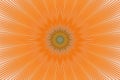 Orange flower pattern floral kaleidoscope. abstract ceramic