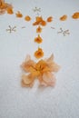 Orange flower petal design