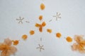 Orange flower petal design