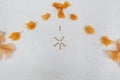 Orange flower petal design