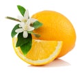 Orange, flower and slice. Royalty Free Stock Photo