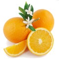 Orange, flower and slice. Royalty Free Stock Photo