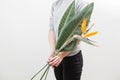 Orange flower of Strelitzia Reginae - bird of paradise, in woman hand. Tropical bud and green leaves. Horizontal photo Royalty Free Stock Photo