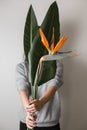 Orange flower of Strelitzia Reginae - bird of paradise, in woman hand. Tropical bud and green leaves. Horizontal photo Royalty Free Stock Photo