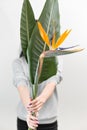 Orange flower of Strelitzia Reginae - bird of paradise, in woman hand. Tropical bud and green leaves. Vertical photo Royalty Free Stock Photo