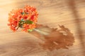 Orange flower in sun light Royalty Free Stock Photo