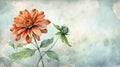 Watercolor Zinnia Flower On Blue Background Royalty Free Stock Photo