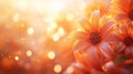 Orange Flowers Bloom in Soft Golden Light Royalty Free Stock Photo