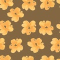 ORANGE FLOWERS ON BROWN BACKGROUND FOR WALLPAPER Royalty Free Stock Photo