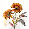 Orange flowers of Chrysanthemum (Chrysanthemum grandifflora) Generative AI animal ai