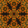 Orange flowers background on the black place marigold