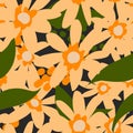 Orange flowers, stylized floral pattern. Vector seamless pattern Royalty Free Stock Photo