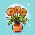 orange flowers in a vase on a blue background Royalty Free Stock Photo