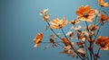 orange flowers in a vase on a blue background Royalty Free Stock Photo