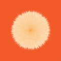 Orange Fluffy Hair Pom, 3D illustration on Orange