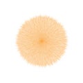 Orange Fluffy Vector Hair Ball