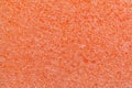 Orange foam kitchen sponge texture. Full frame macro photography of porous synthetic material. Abstract pattern background for Royalty Free Stock Photo