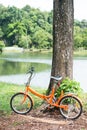 Orange folding bicycles in park