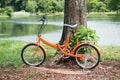 Orange folding bicycles in park