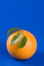 Orange food isolated over blue
