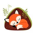 Orange Fox as Forest Animal Sleeping in Burrow Vector Illustration