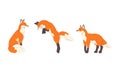 Orange Fox as Omnivorous Mammal with Pointed Snout and Long Bushy Tail Sitting and Jumping Vector Set