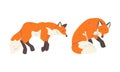 Orange Fox as Omnivorous Mammal with Pointed Snout and Long Bushy Tail Sitting and Sleeping Vector Set