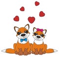 Orange foxes in love