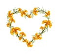Orange French Marigold Flowers in A Heart Shape