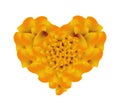 Orange French Marigold Flowers in A Heart Shape