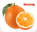 Orange. Fresh fruit 3d vector icon